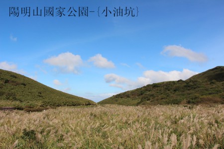 台灣包車-台北WISH七人座包車 台北市區陽明山國家公園+金山金包里老街+淡水老街 一日遊8小時行程 台北陽明山包車/陽明山包車/金山包車/淡水包車 超便宜特價包車價格透明化 包車價錢公道 服務至上 客製化行程